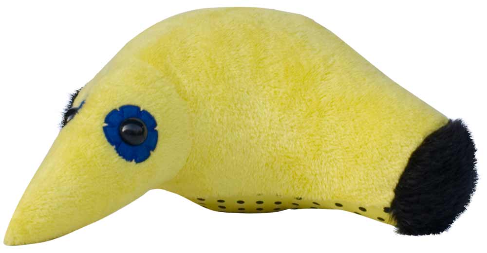 Tummyslider